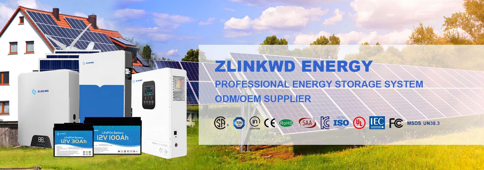 PROFESSIONAL ENERGY STORAGE SYSTEM ODM SUPPLIER